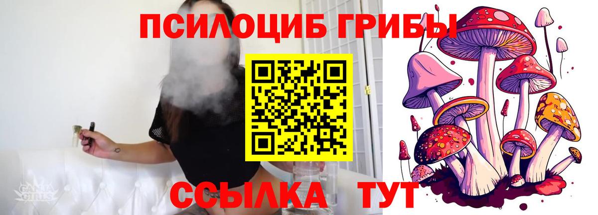 Галлюциногенные грибы GOLDEN TEACHER Белорецк